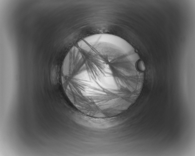 X0000103900030200809261558