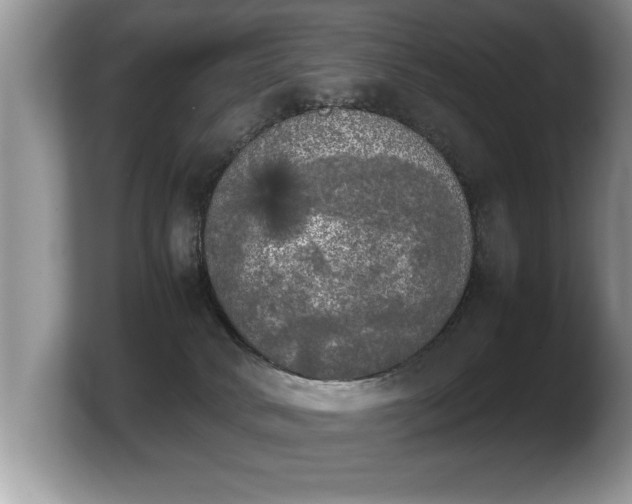 X0000103900034200809261558