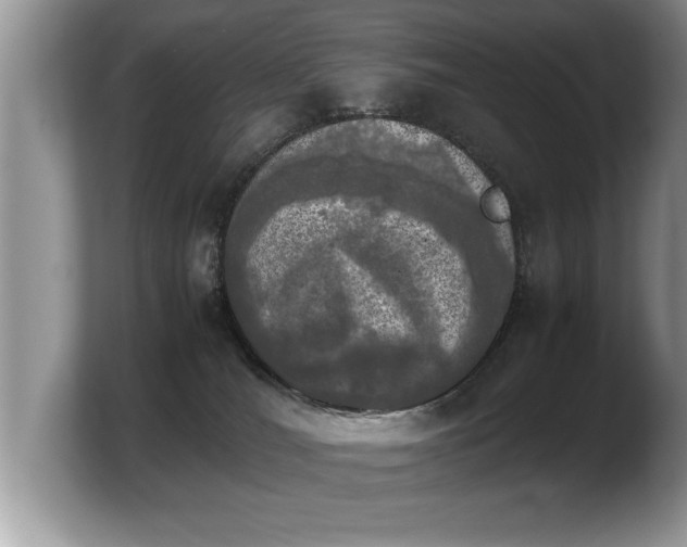 X0000103900036200809261558