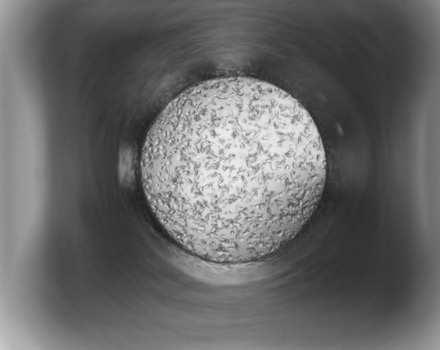 X0000103900038200809261558