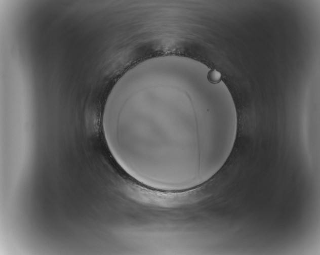 X0000103900039200809261558