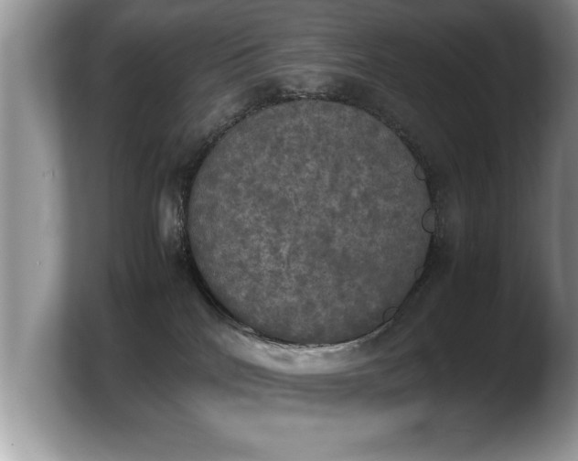 X0000103900040200809261558