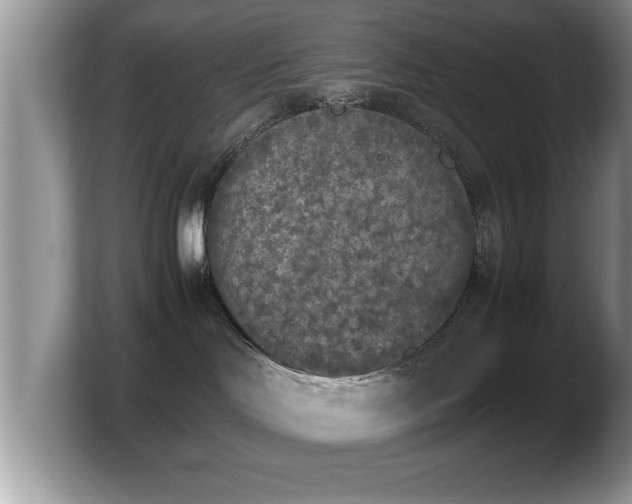 X0000103900046200809261558