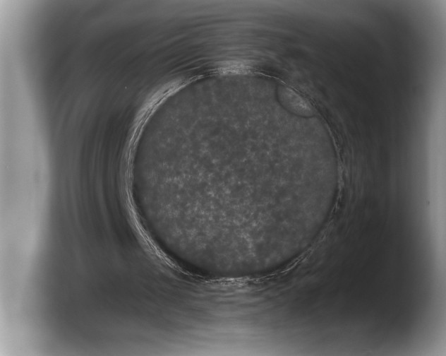 X0000103900049200809261557