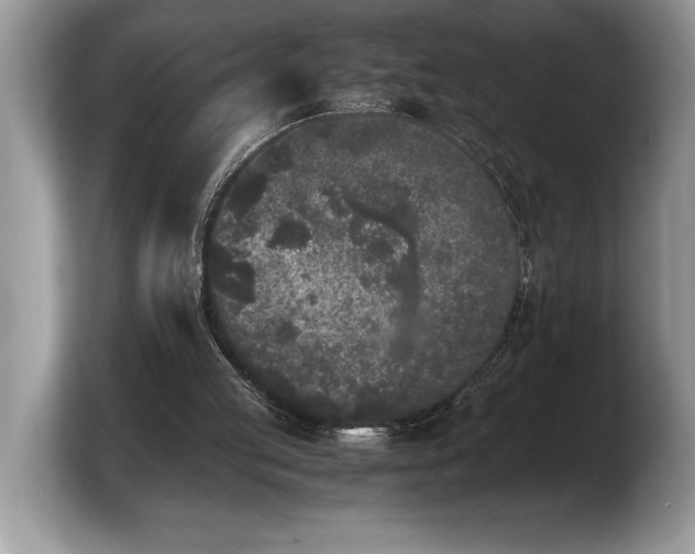 X0000103900053200809261557