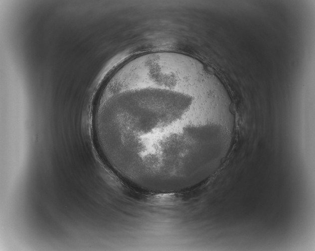 X0000103900054200809261557