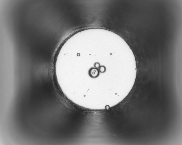 X0000103900056200809261557