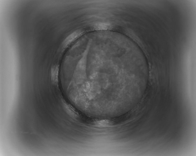 X0000103900058200809261557