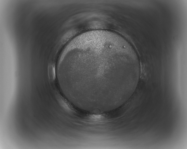 X0000103900061200809261558