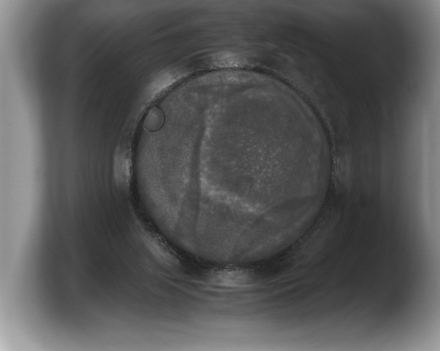 X0000103900063200809261558