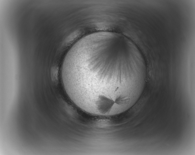 X0000103900066200809261558