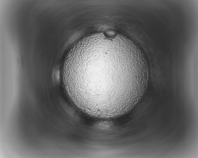 X0000103900067200809261558