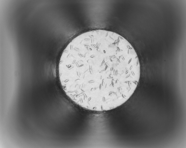 X0000103900068200809261558