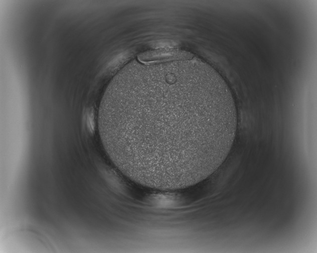 X0000103900069200809261558