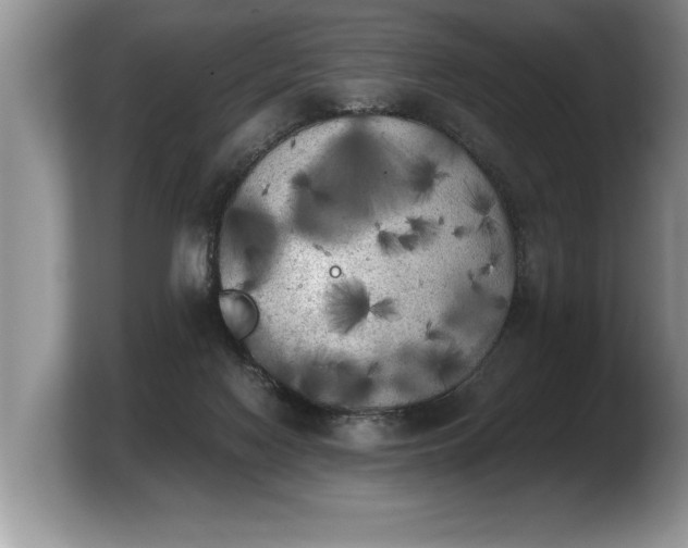 X0000103900074200809261558