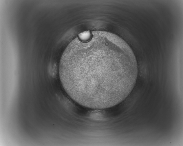 X0000103900077200809261558