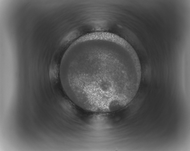 X0000103900078200809261558