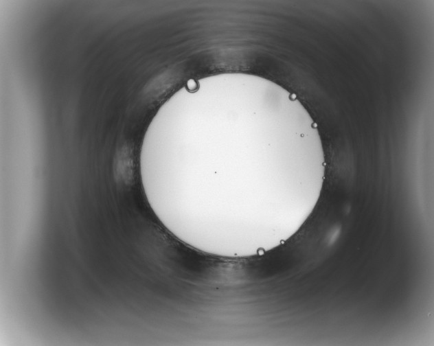 X0000103900080200809261558