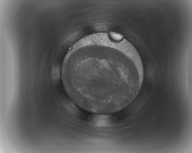 X0000103900081200809261558