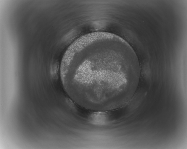 X0000103900082200809261558