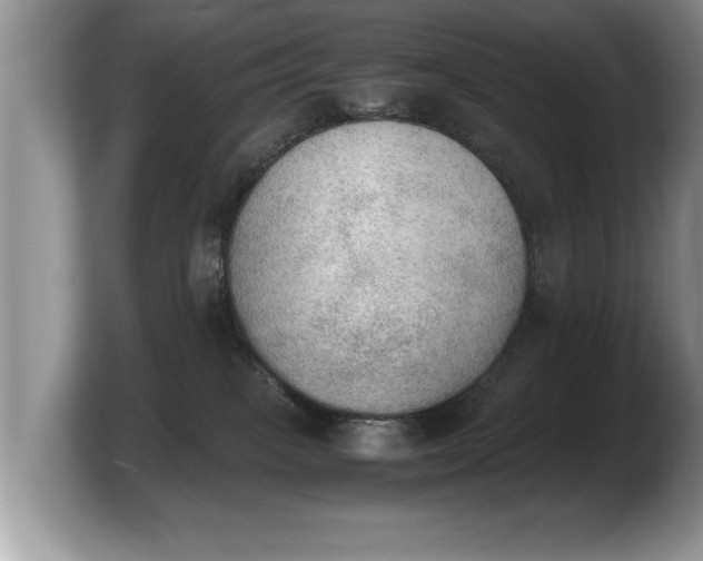 X0000103900085200809261558