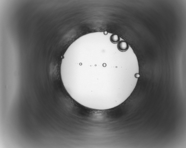 X0000103900088200809261558