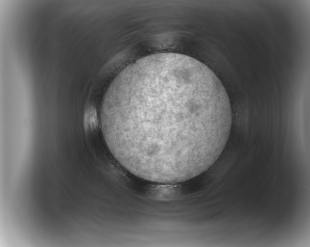 X0000103900089200809261558