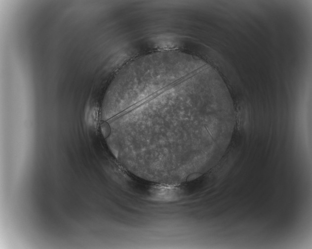 X0000103900093200809261558
