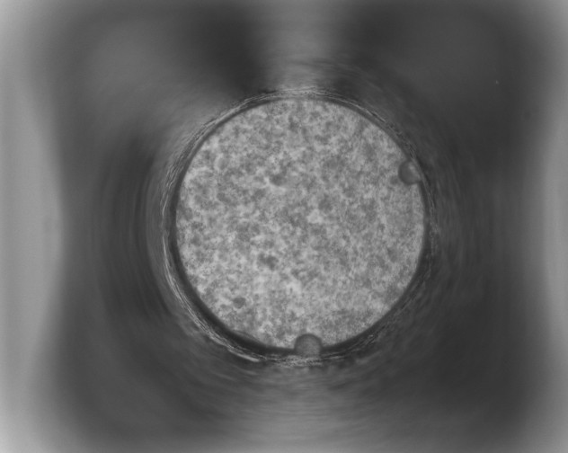 X0000103900097200809261557