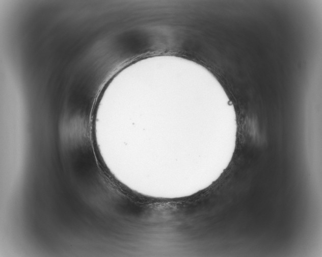 X0000103900100200809261557