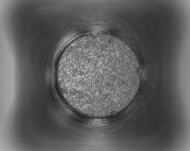 X0000103900101200809261557