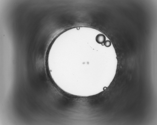 X0000103900104200809261557