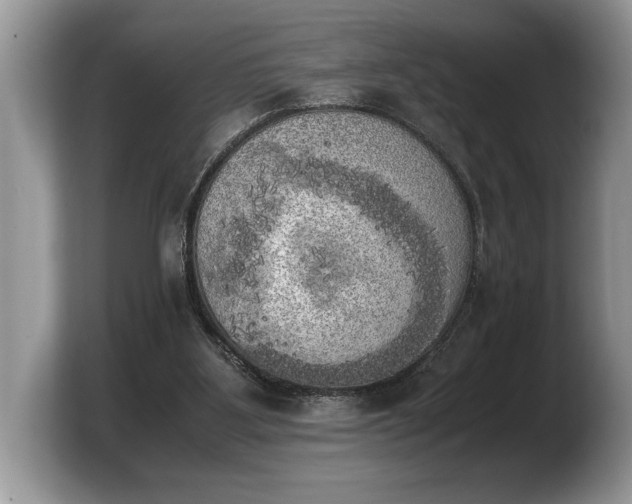 X0000103900107200809261557