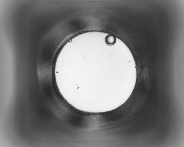 X0000103900108200809261557