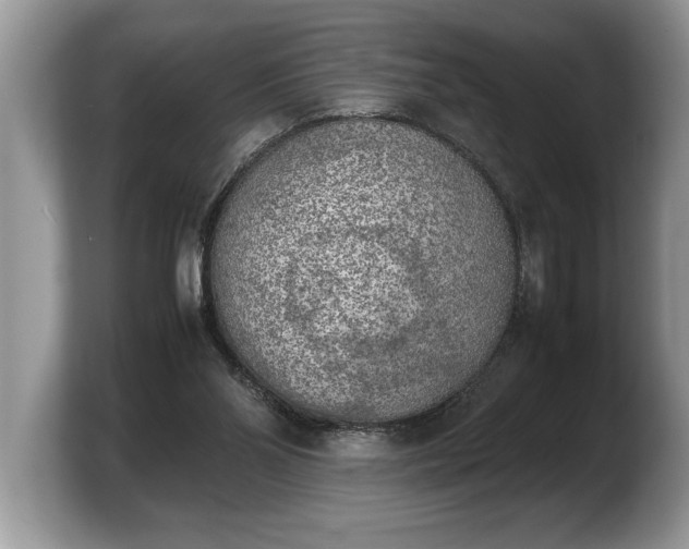 X0000103900110200809261557