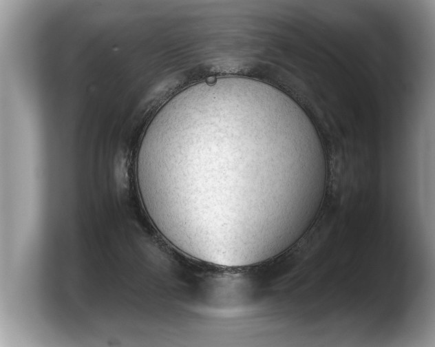 X0000103900114200809261557