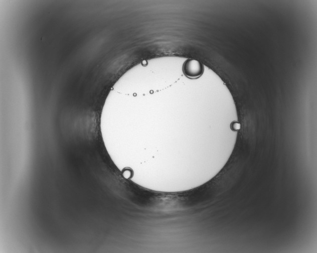 X0000103900121200809261557