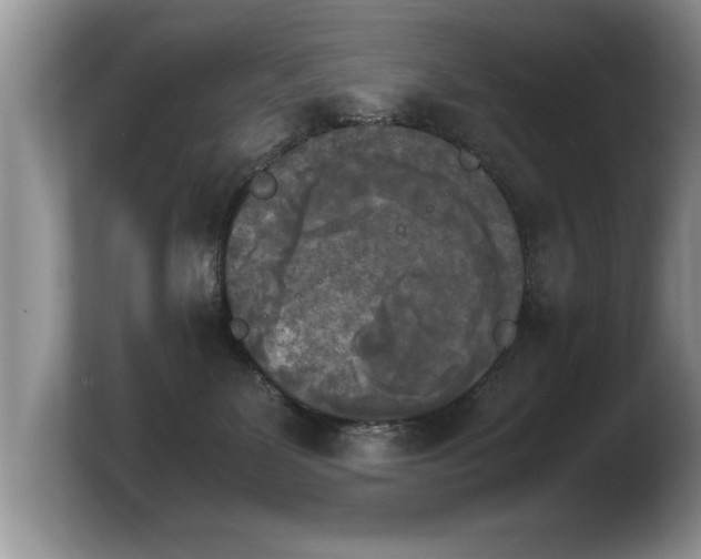 X0000103900131200809261557