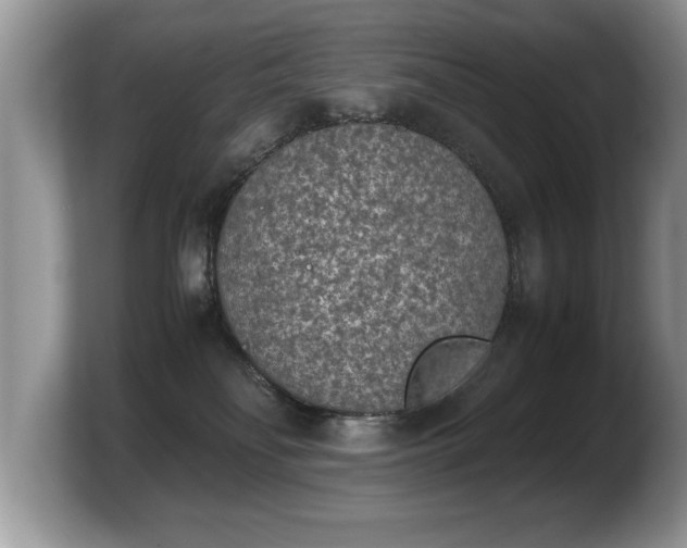 X0000103900134200809261557