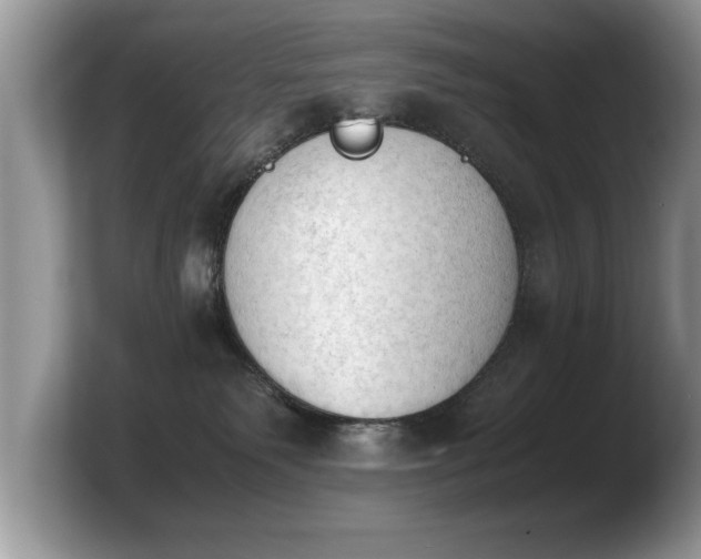 X0000103900135200809261557