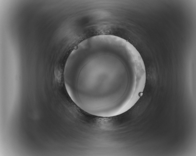 X0000103900139200809261557