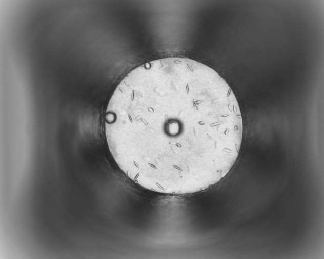 X0000103900140200809261557