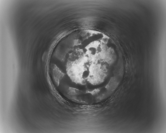 X0000103900145200809261556