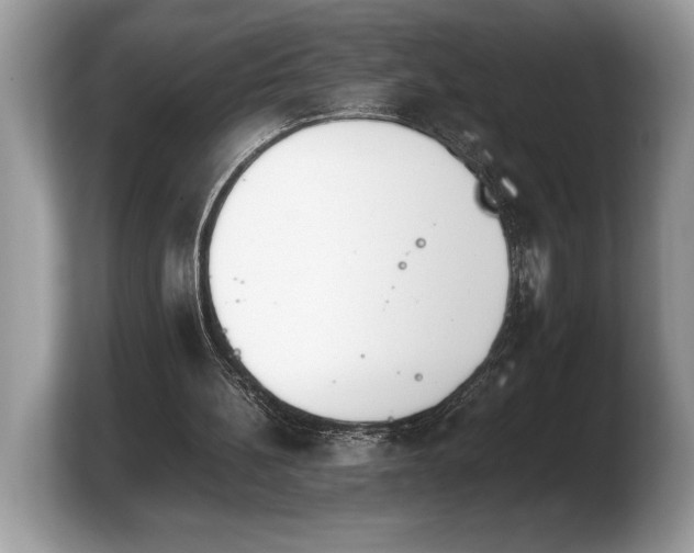 X0000103900148200809261556