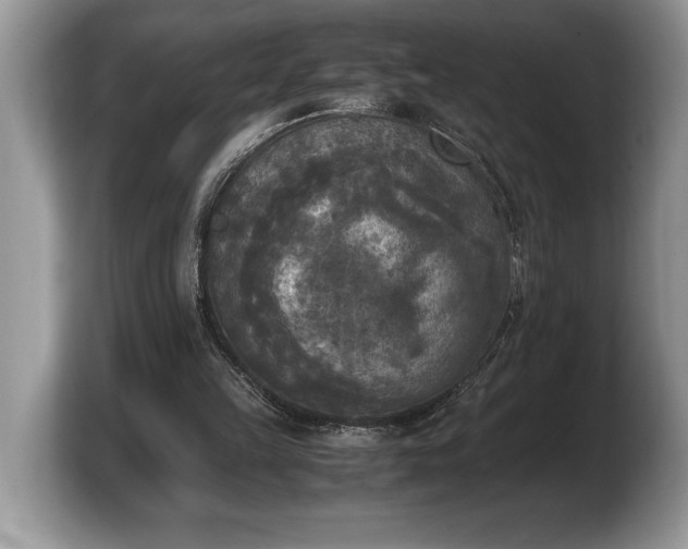 X0000103900149200809261556