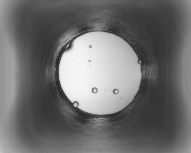 X0000103900150200809261556