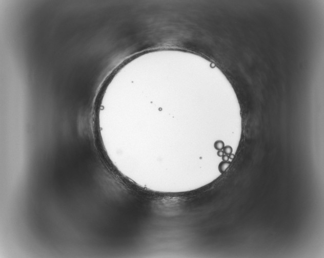 X0000103900152200809261556