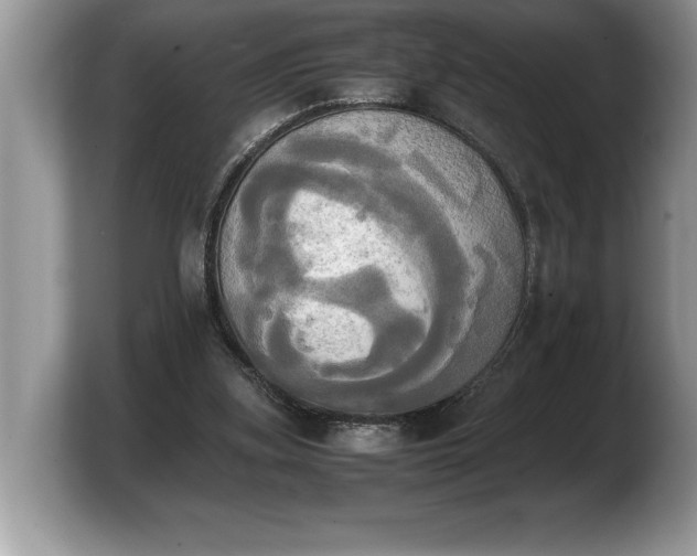 X0000103900155200809261556