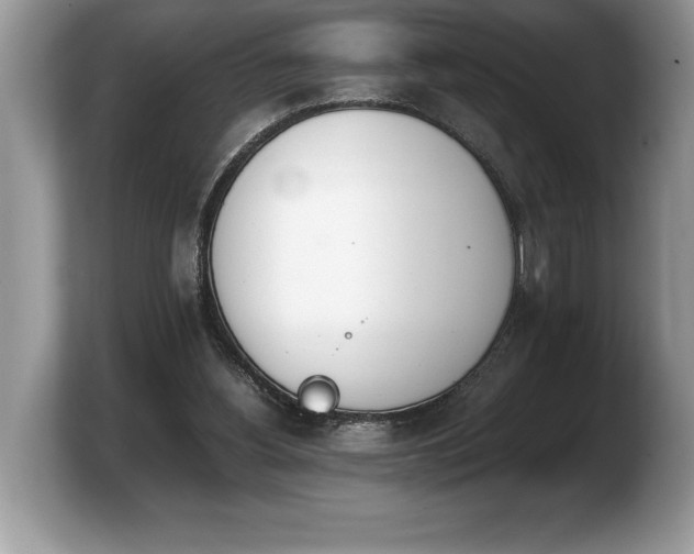 X0000103900156200809261556