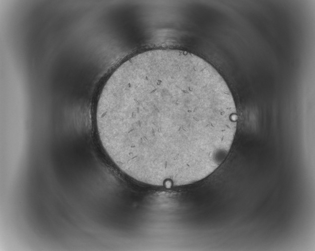 X0000103900158200809261556